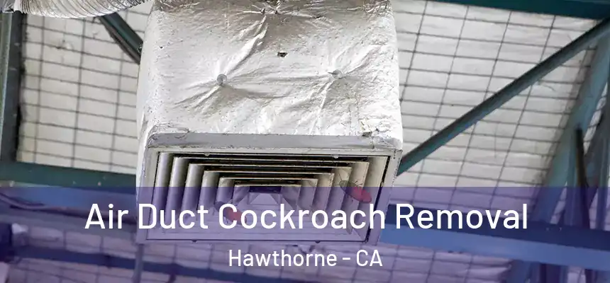 Air Duct Cockroach Removal Hawthorne - CA