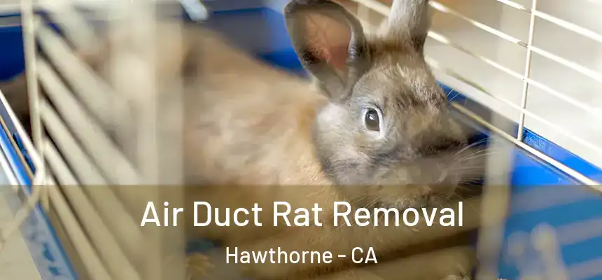 Air Duct Rat Removal Hawthorne - CA