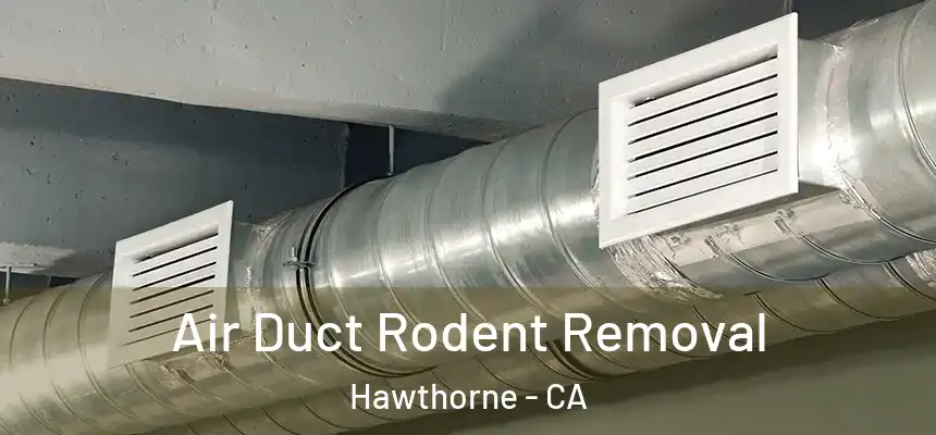 Air Duct Rodent Removal Hawthorne - CA