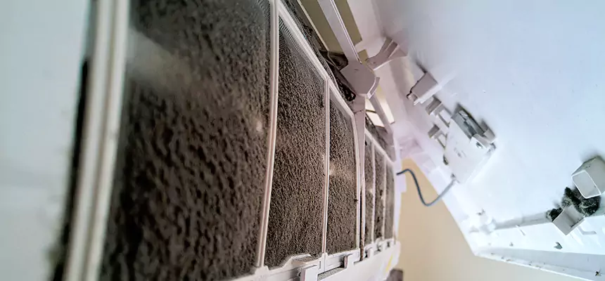 Preventive Air Duct Bacteria Removal in Hawthorne