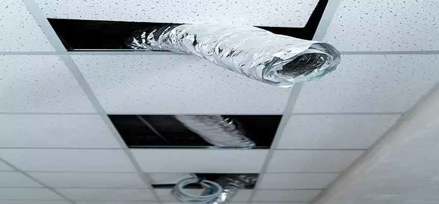 Our Air Duct Pet Hair Removal Services in Hawthorne, CA