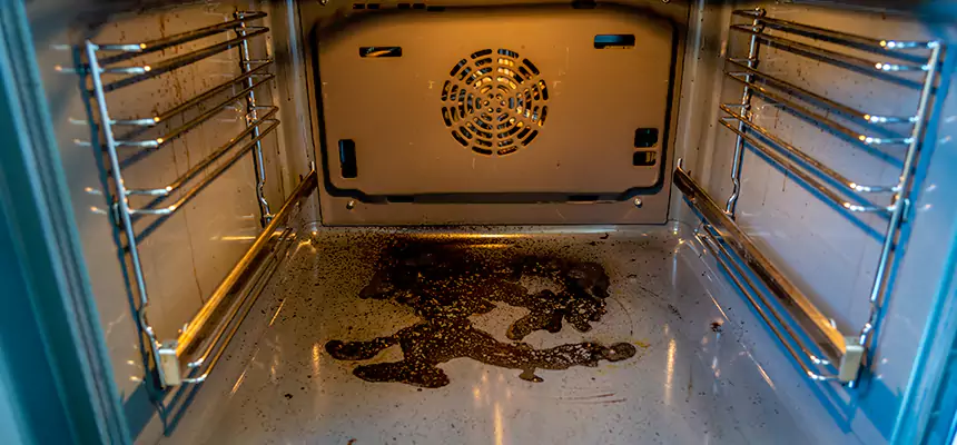 Our Dryer Vent Mold Cleaning Services in Hawthorne, CA