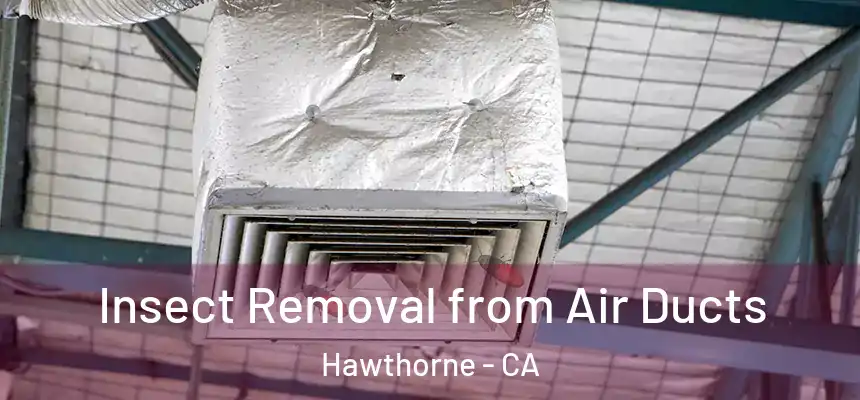 Insect Removal from Air Ducts Hawthorne - CA