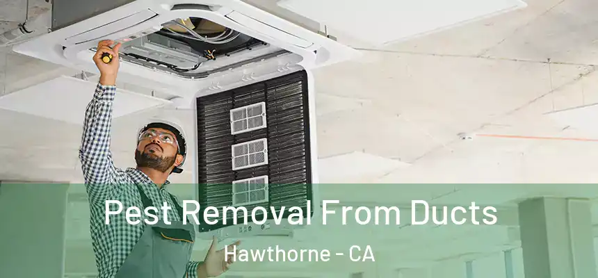 Pest Removal From Ducts Hawthorne - CA