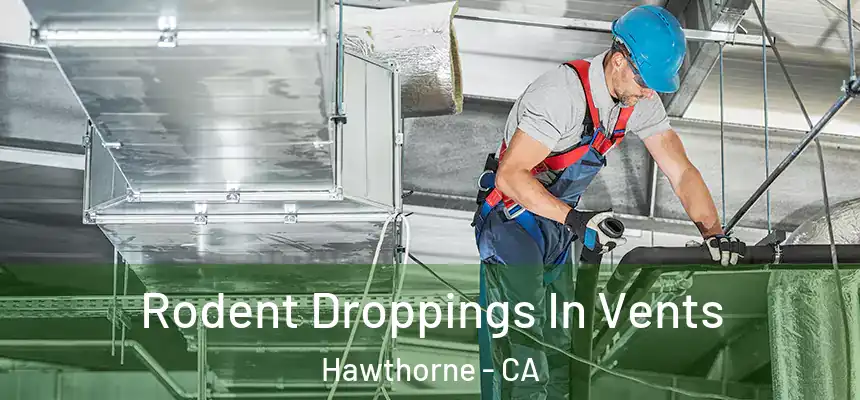 Rodent Droppings In Vents Hawthorne - CA
