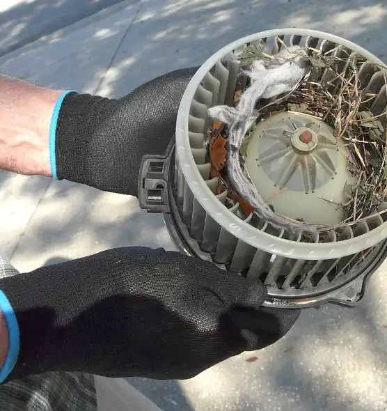 About Air Duct Mice Removal in Hawthorne, CA