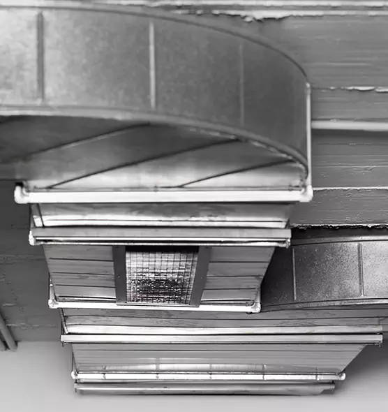 Professional Air Duct Pest Removal in Hawthorne, CA