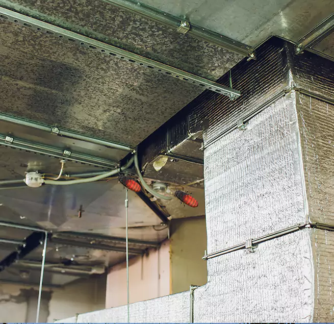 Why Homeowners & Businesses Trust Us in Hawthorne, CA?