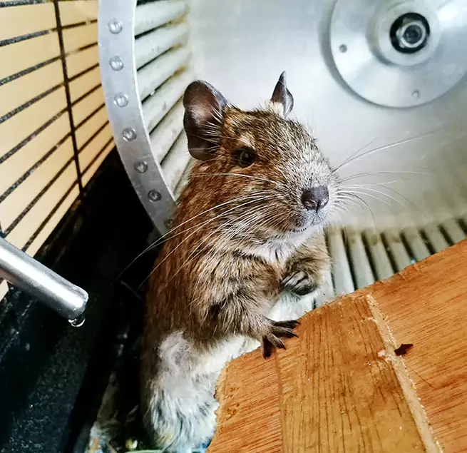 Why Homeowners & Businesses Trust Us Hawthorne, CA?