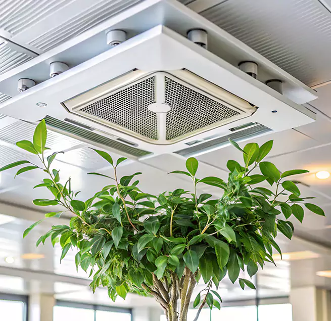 Why Homeowners & Businesses Trust Us in Hawthorne, CA?